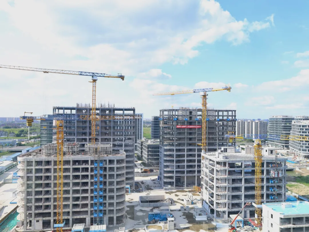 同心同向 造炬成阳 | z6com·尊龙股份2024年第三季度动态速览